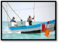 Pescadores ribereños denuncian falta de vigilancia contra pesca ilegal. 